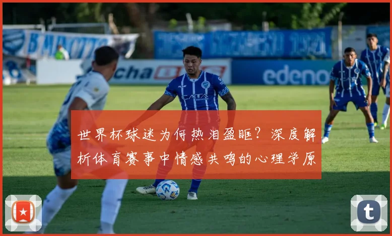 世界杯球迷为何热泪盈眶？深度解析体育赛事中情感共鸣的心理学原因