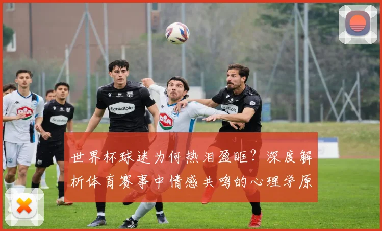 世界杯球迷为何热泪盈眶?深度解析体育赛事中情感共鸣的心理学原因